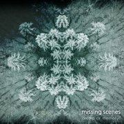 missing scenes - dream or memory? (2025) [Hi-Res]