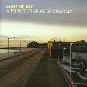 VA - Light of Day: A Tribute To Bruce Springsteen (2013) flac