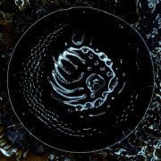 Stonus - Space To Dive (2026)