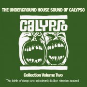 VA - The Underground House Sound Of Calypso Vol 2 (2026)