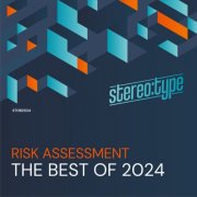 Risk Assessment - The Best Of Stereo:type 2024 (2025)