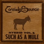 Consider the Source - Hybrid Vol. 1: Such As A Mule (2021)