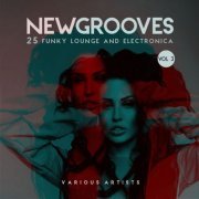 VA - New Grooves, Vol. 3 (25 Funky Lounge & Electronica) (2018) flac