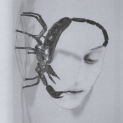 Tortoise - Touch (2025) [Hi-Res]