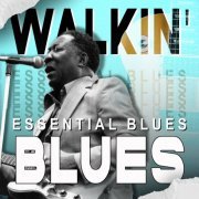 VA - Walkin' Blues (Essential Blues) (2022)