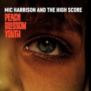 Mic Harrison And The High Score - Peach Blossom Youth (2025)