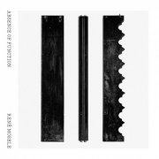 René Mosele - Absence of Function (2022)