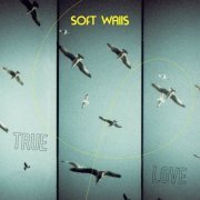 The Soft Walls - True Love (2023)