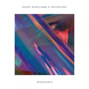 Danny Widdicombe - Iridescence (2025) [Hi-Res]