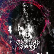 Dead Flesh Stigma - Necrocosmic Death Ritual (2024) Hi-Res