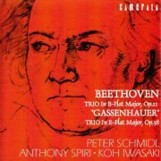 Anthony Spiri, Peter Schmidl, Ko Iwasaki - Beethoven: Piano Trios Op. 11 & Op. 38 (2004)