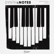 VA - Synths & Notes, Vol. 9 (2026)