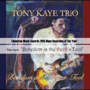 Tony Kaye Trio - Boredom is the Devil's Tool (2014)