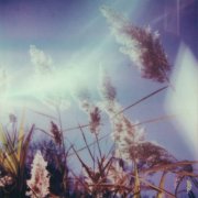 Benoit Pioulard - Stanza IV (2025)
