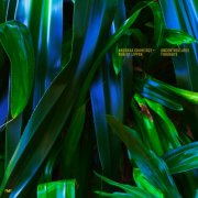 Anushka Chkheidze - Uncontrollable Thoughts (2025) [Hi-Res]