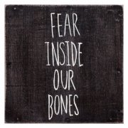 The Almost - Fear Inside Our Bones (2013) [CDRip]