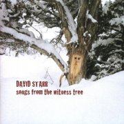 David Starr - Songs From the Witness Tree (2010)