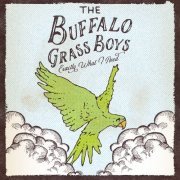 The Buffalo Grass Boys - Exactly What I Need (2020)