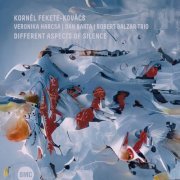 Kornél Fekete-Kovács & Veronika Harcsa & Dan Bárta - Different Aspects Of Silence (2023)