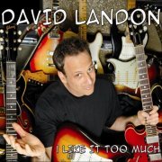 David Landon - I Like It Too Much (2012)