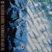 The Very Big Experimental Toubifri Orchestra - Outre (2024) [Hi-Res]