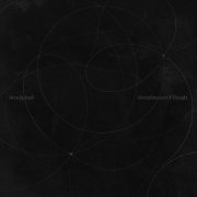 Steve Bicknell - Several Streams of Thought (LP) (2025)