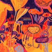 Paul Harrison - Encontros (2026)
