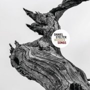 Daniel Stelter - Wooden Songs (2025) [Hi-Res]