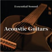 Paul Gelsomine - Essential Sound Acoustic Guitars (2019)