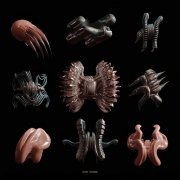 VA - Perceptions V I I I (2026)