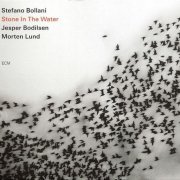 Stefano Bollani - Stone In The Water (2009)