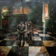 Grief Mop - I Want to Pull the Sleep From Your Eyes (2025) Hi Res