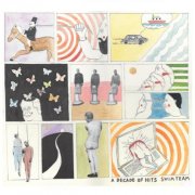 Swim Team - A Decade of Hits (2020)