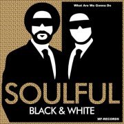 Soulful Black & White - What Are We Gonna Do (2023)