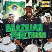 David Bernard Dykstra - Brazilian Perc Promos (2024) Hi-Res