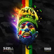 Sizzla - 876 (2016)