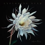 Heather Maloney - Exploding Star (2025) [Hi-Res]