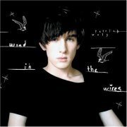 Patrick Wolf - Wind In The Wires (2005)