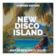 VA - New Disco Island (2024)