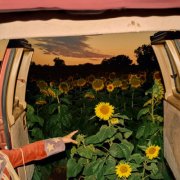Kevin Morby - Little Wide Open (2026) [Hi-Res]
