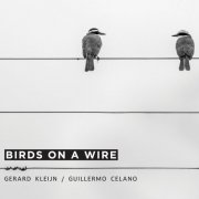 Gerard Kleijn & Guillermo Celano - Birds On A Wire (2025)