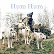 Hum Hum - Blueberries (2019)