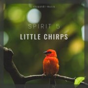 Spirit 5 - Little Chirps (2022)