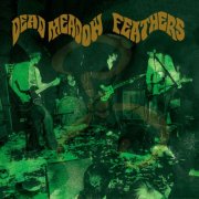 Dead Meadow - Feathers (20th Anniversary Edition) (2025)