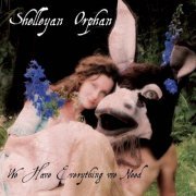 Shelleyan Orphan - We Have Everything We Need (2008)