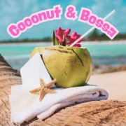 VA - Coconut & Bossa (2025) Hi-Res