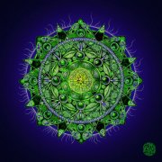 Jueri - Seraphyne Bowls (2025)