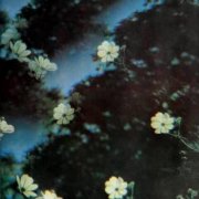 Stumbleine - Head over Heels (2026)