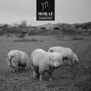 Morae - Liminal Fields (2025) Hi-Res