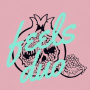 Feels Duo - Feels Duo (2017) Hi-Res